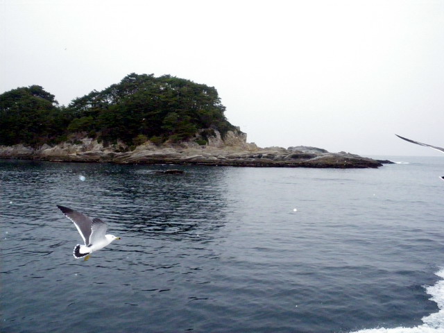 浄土ヶ浜遊覧船から
