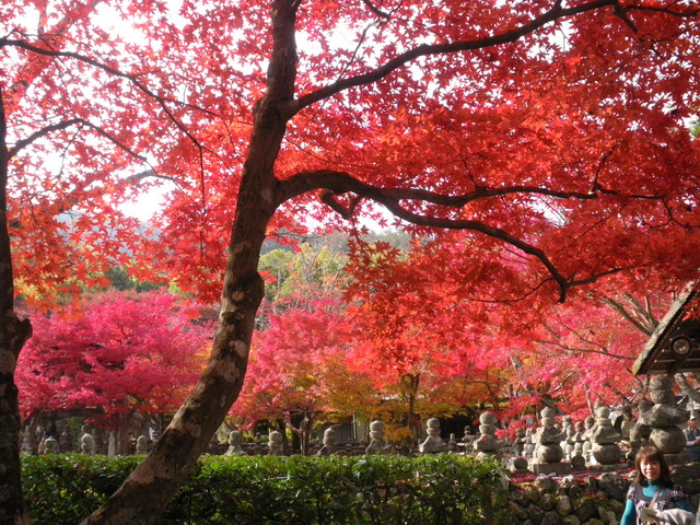 嵯峨野・化野念仏寺