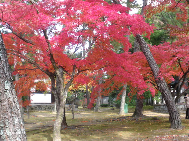 太秦・広隆寺境内