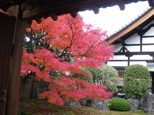 洛中相国寺塔頭・雁の寺