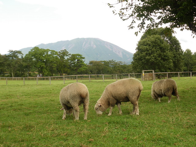 小岩井農場から岩手山