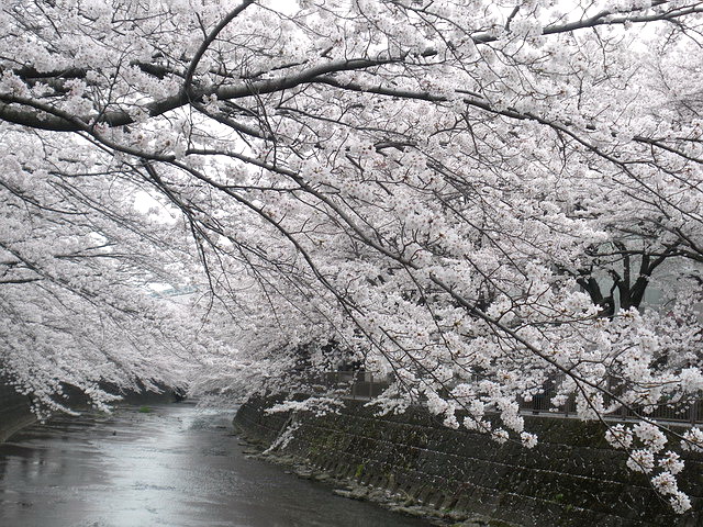 恩田川3