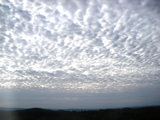 珍しい鰯雲"