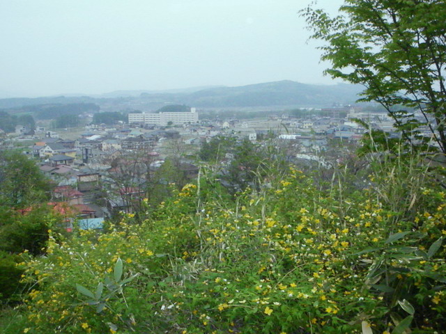 生命の森から渋民の町を望む'09.05