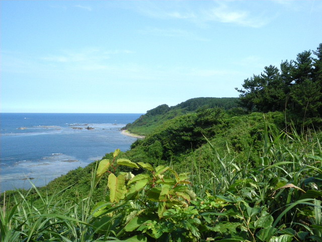 飛島海岸遊歩道